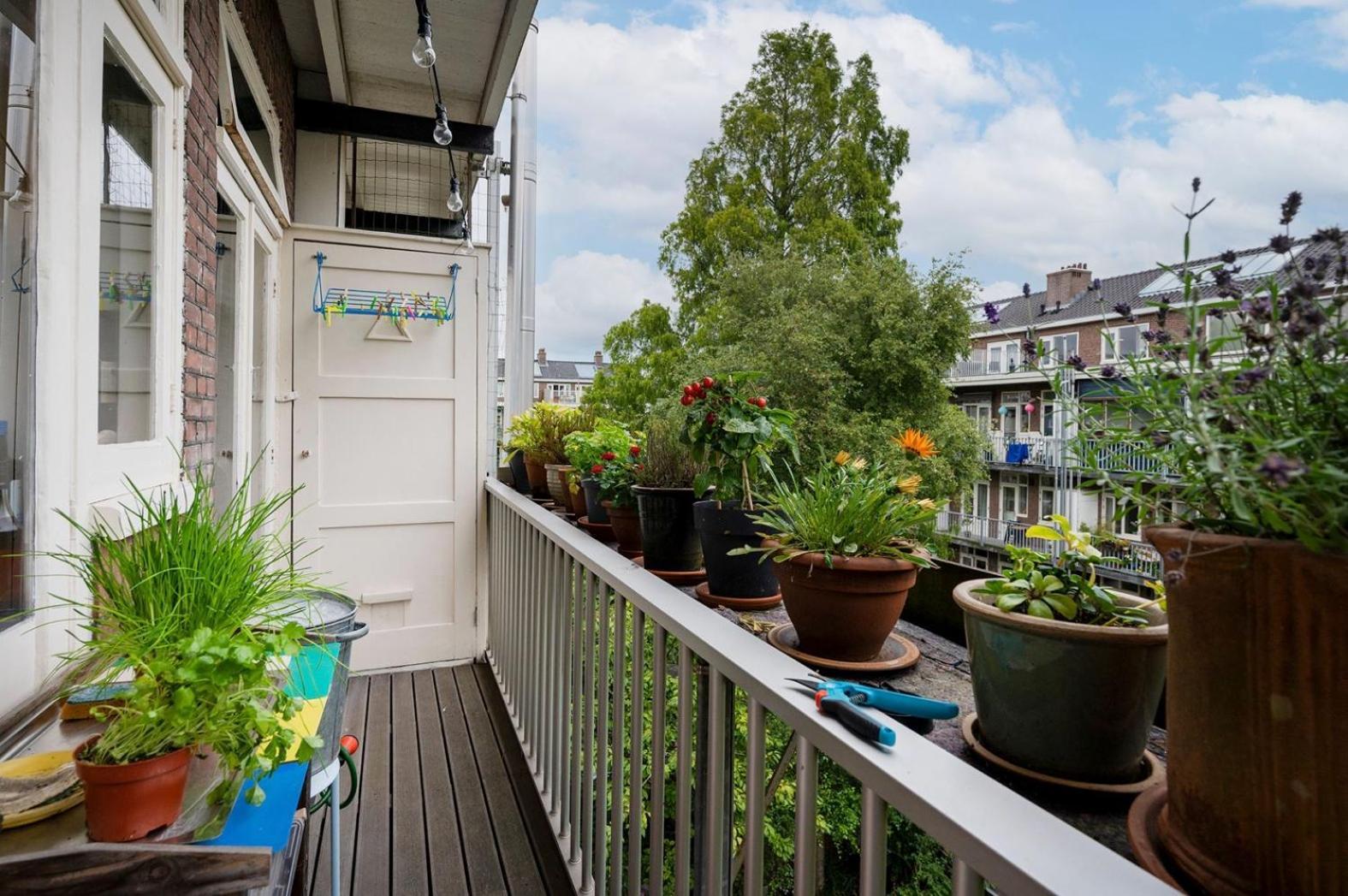 Apartment Sandra Amsterdam Extérieur photo